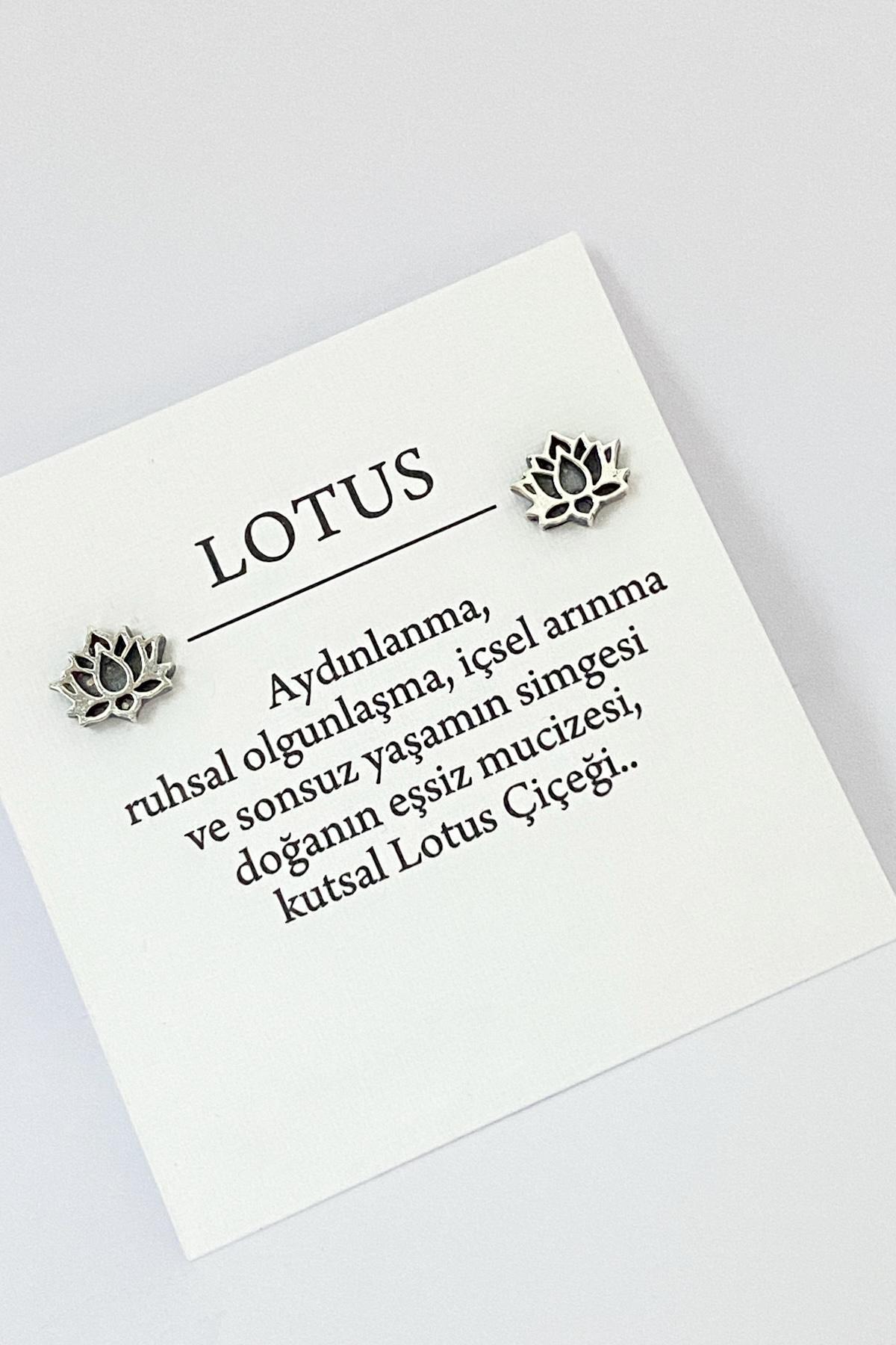 Lotus Sabit Küpe